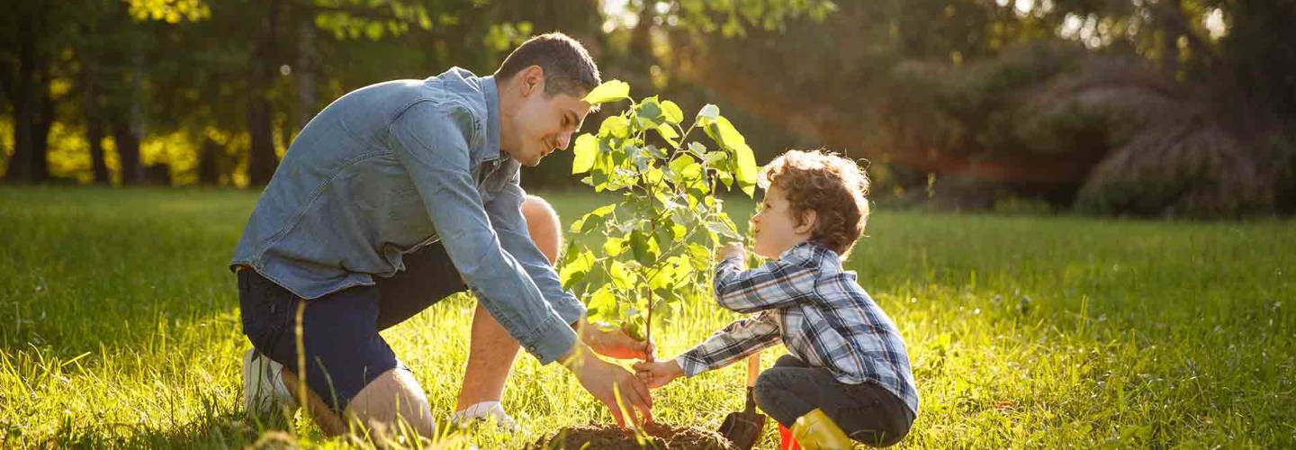 a father and son planting a new tree