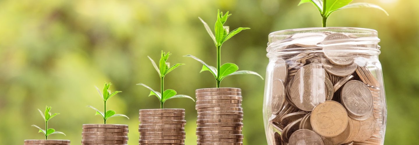 green plants growing on a stack of coins
